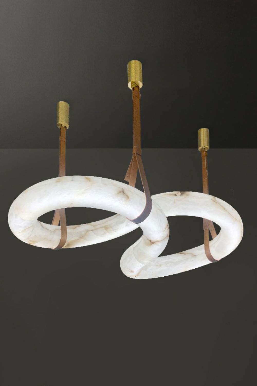 Loop Hanging Light - vexalamps