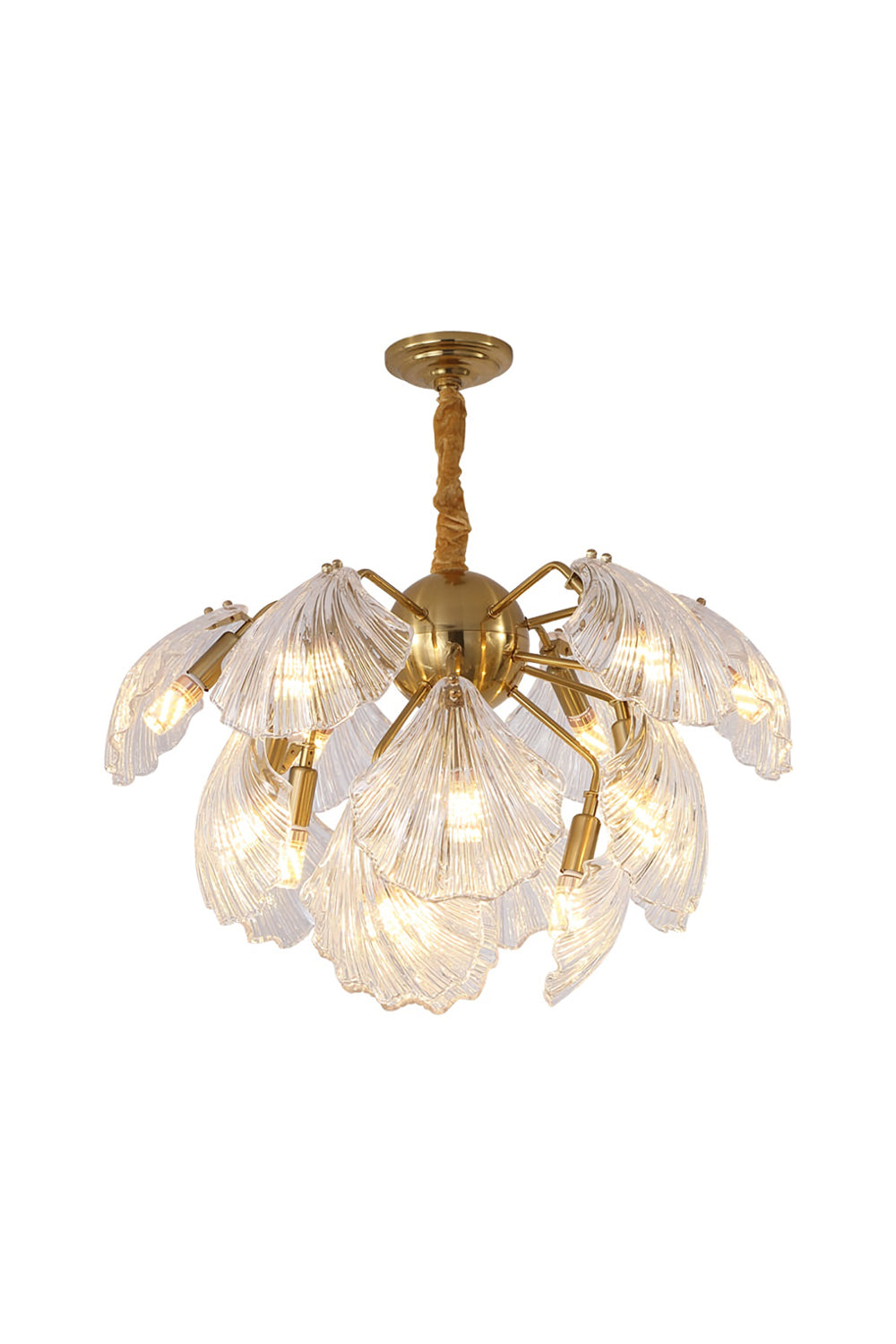 Ribbed Shell Chandelier - vexalamps