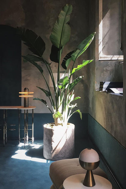rbit Alabaster Disc Table Lamp - view 7 | vexalamps