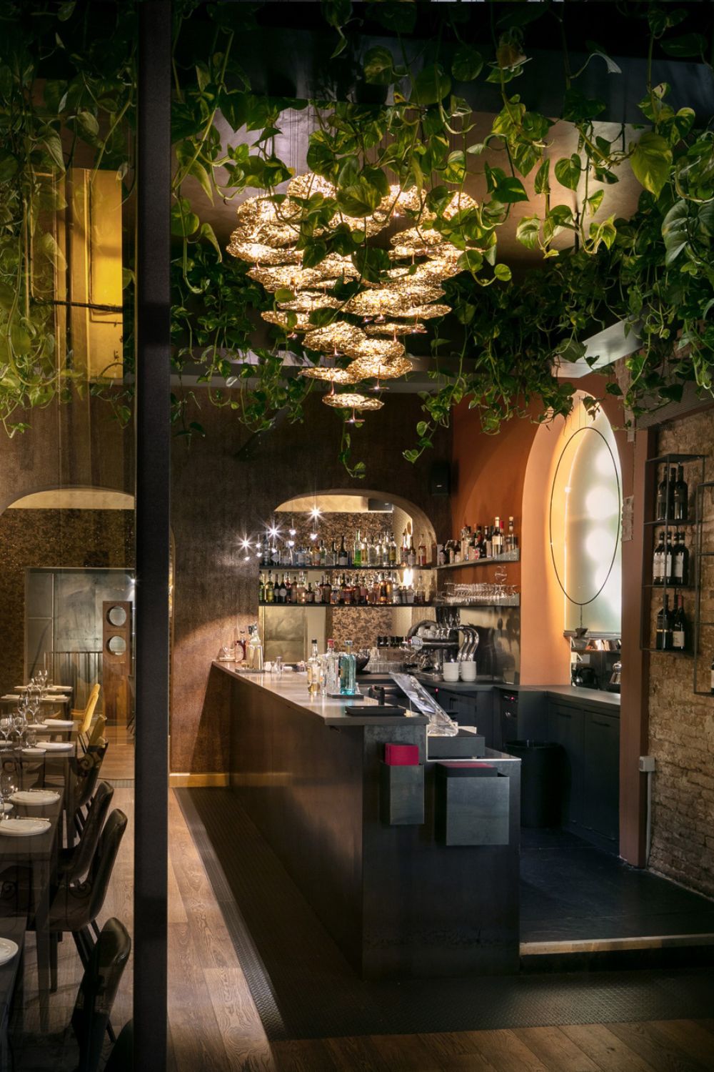 Multi-Lite Pendant light - vexalamps