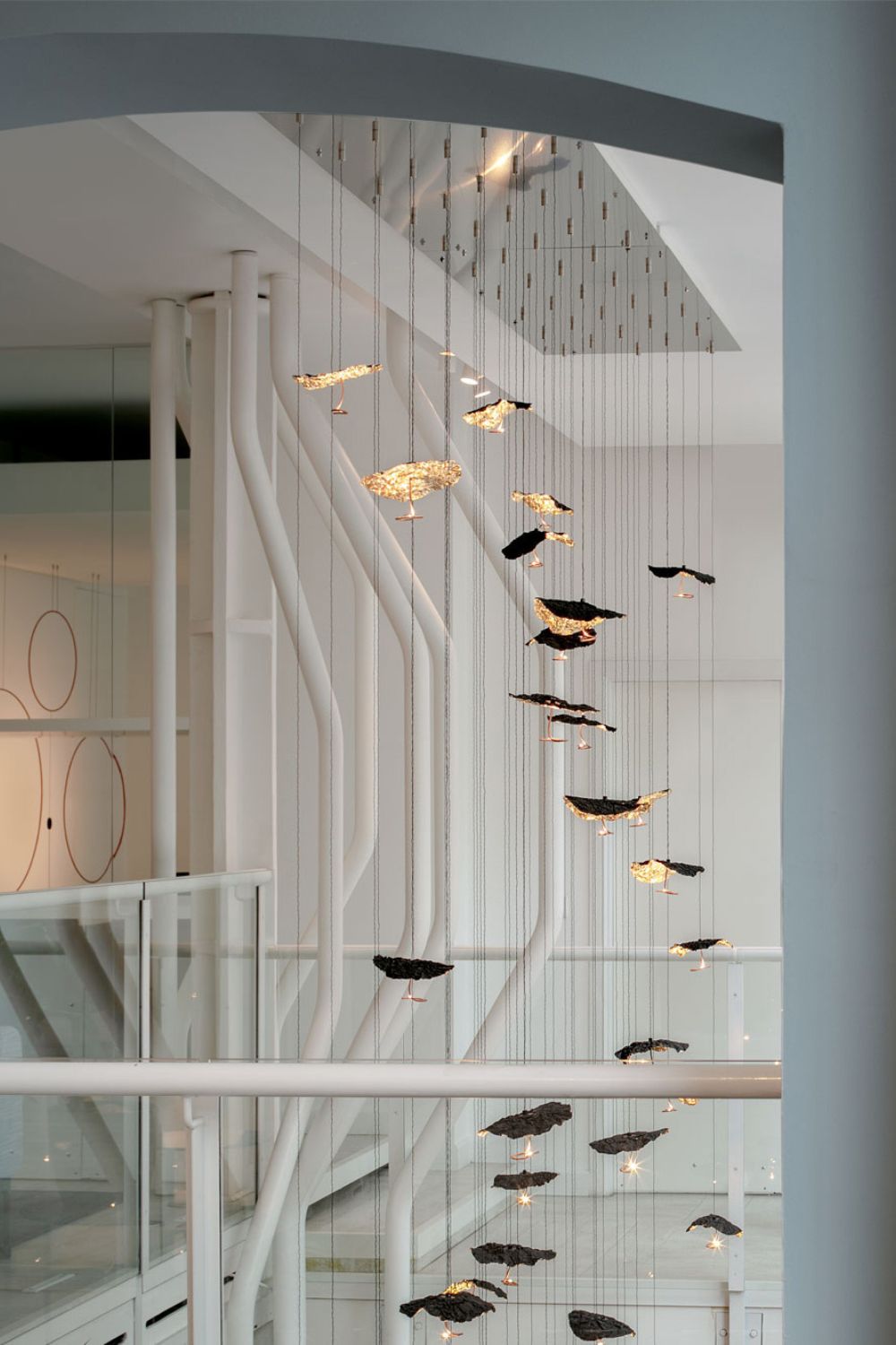 Multi-Lite Pendant light - vexalamps