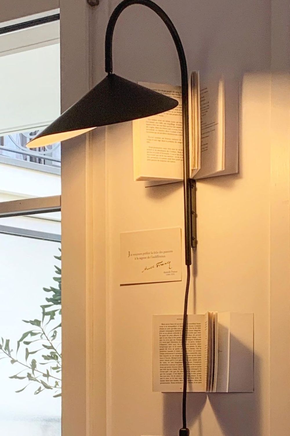 Arum Wall Lamp - vexalamps