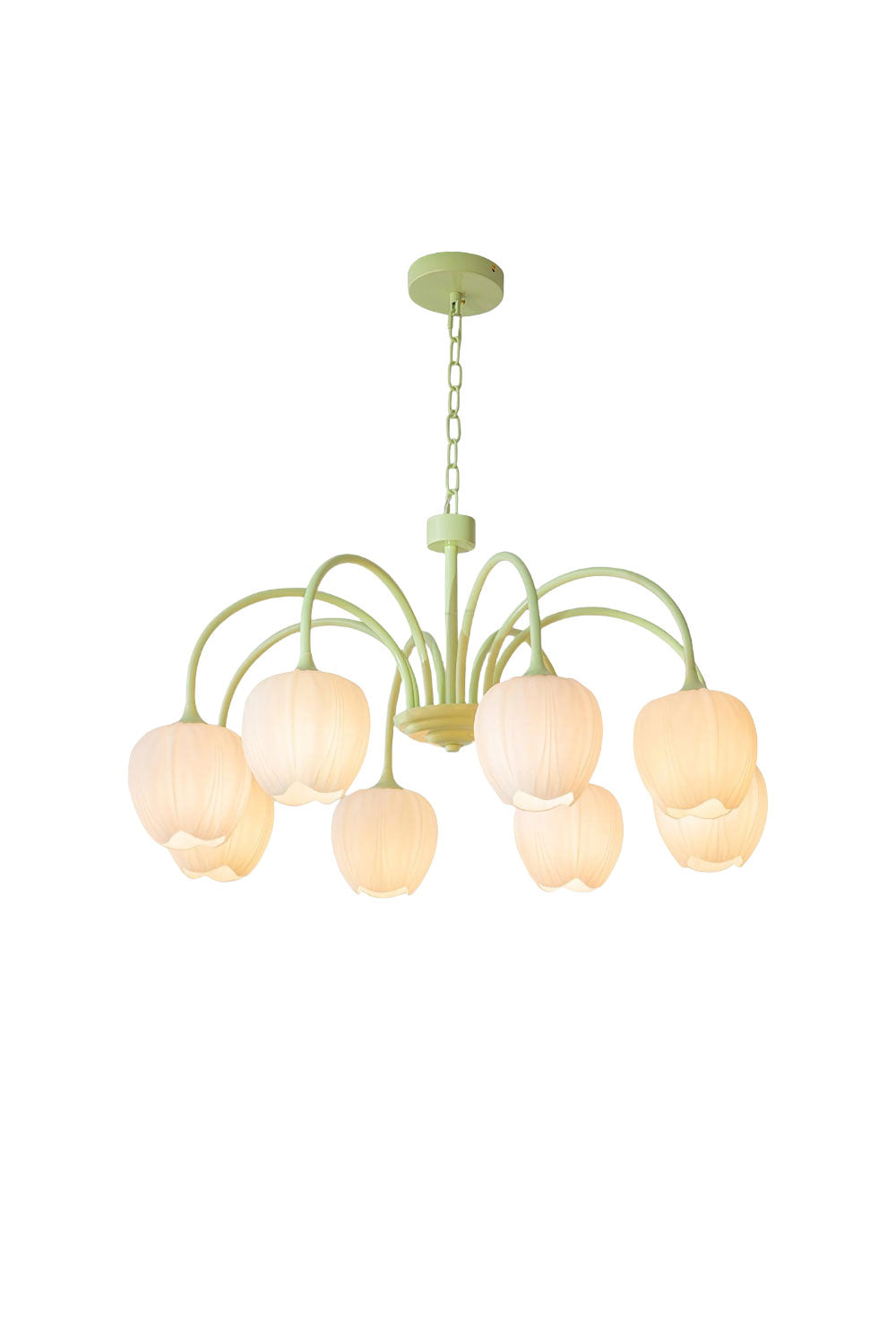 Blossom Tulip Matcha Chandelier | vexalamps