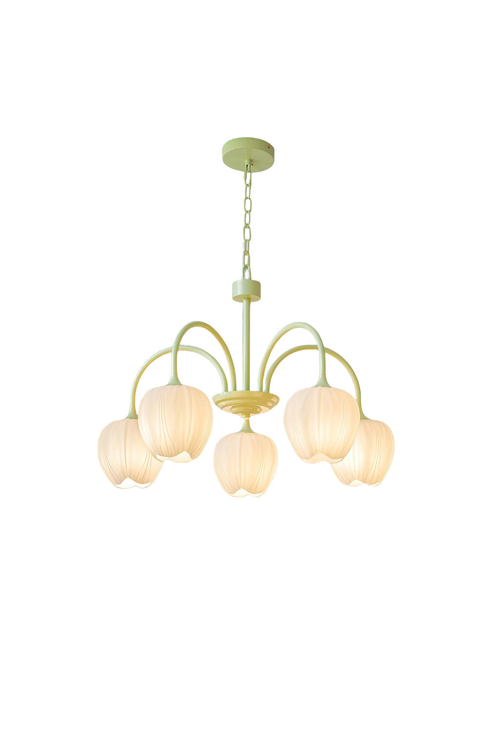 Blossom Tulip Matcha Chandelier - view 14 | vexalamps