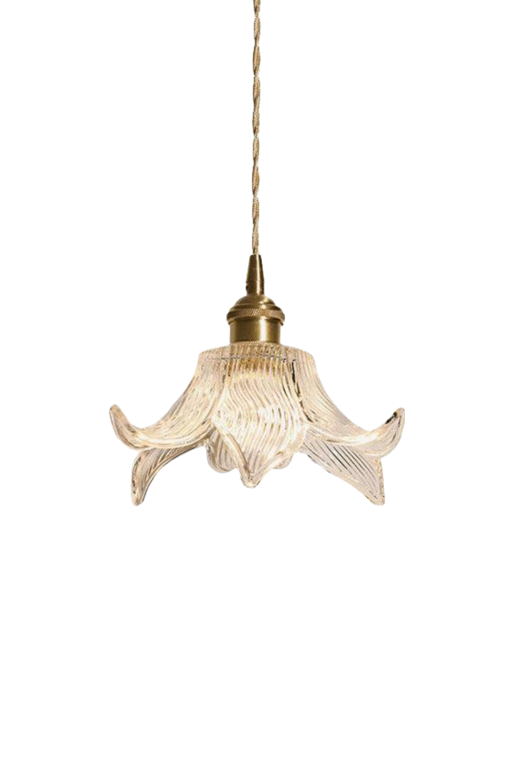 Clear Petal Glass Pendant Lamp | vexalamps
