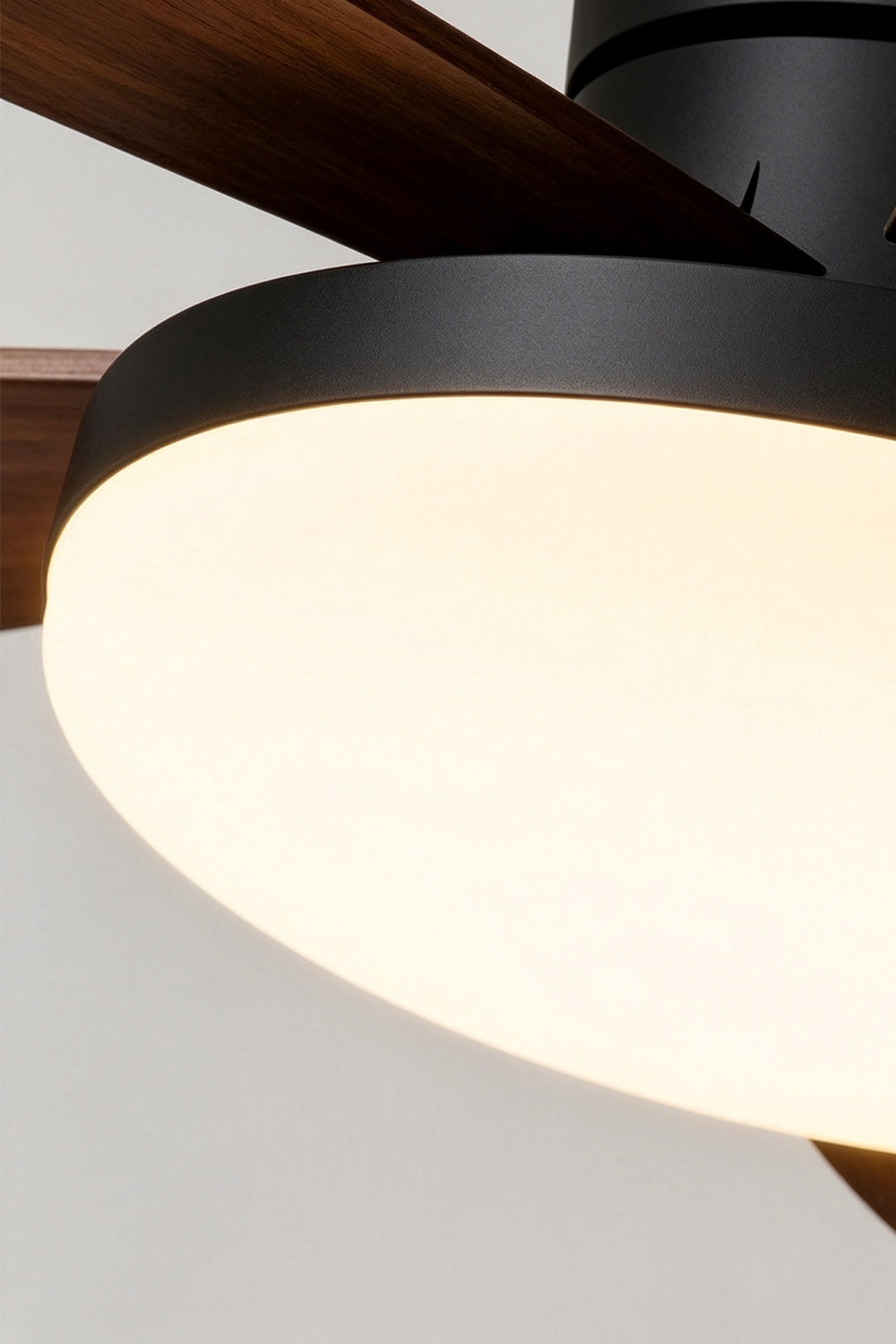 Corin Low-Profile Ceiling Fan Light featuring a softly diffused integrated LED and sculpted blades.