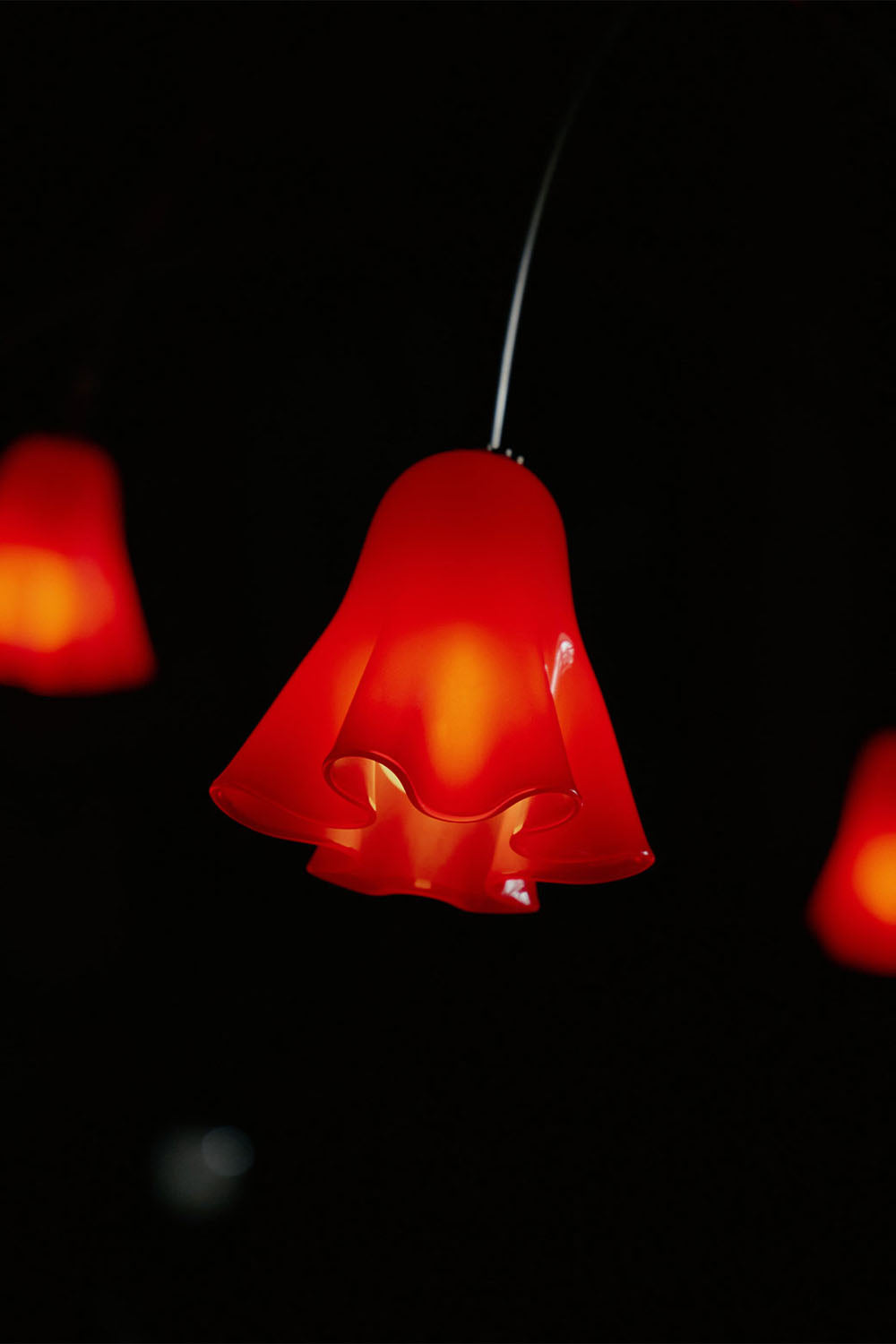 Flora Tulip Series Chandelier - view 15 | vexalamps
