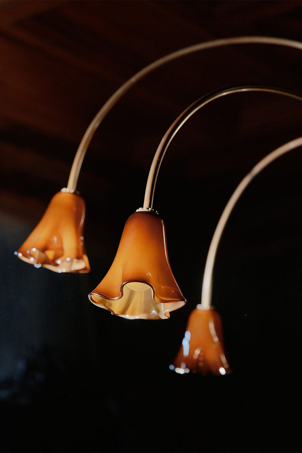 Flora Tulip Series Chandelier - view 17 | vexalamps