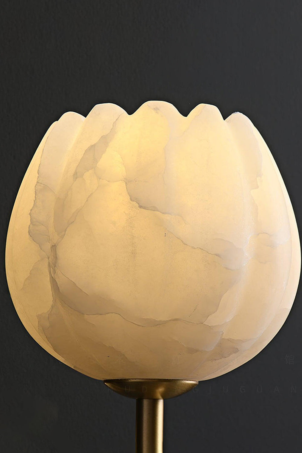 Ondine Alabaster Blossom Wall Sconce | Natural Alabaster and Brass | Macro view of the glowing translucent tulip stone shade highlighting organic veining on black background | vexa lamps