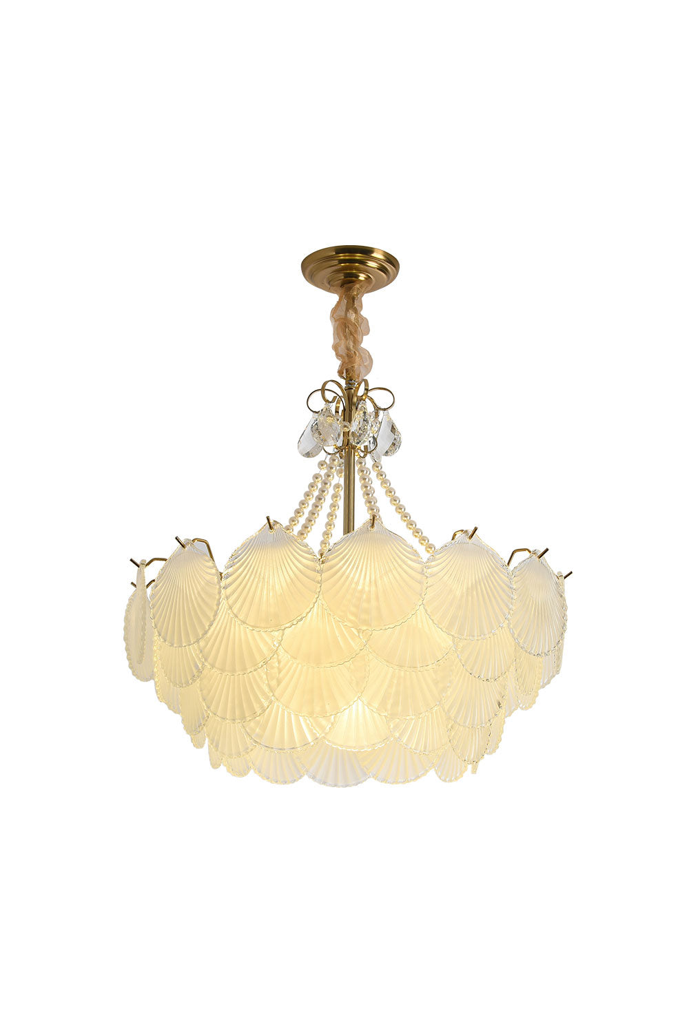 Shell Pendant Light - vexalamps