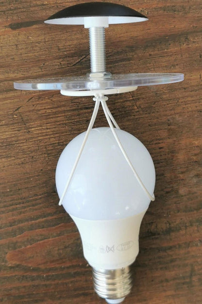 Squiggle Table lamp - vexalamps