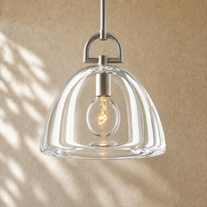 Botanical Dome Pendant - 14’’ D / Nickle